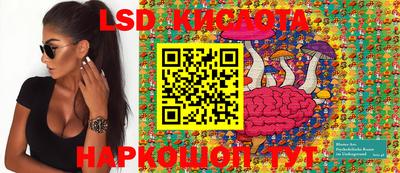стаф Кунгур