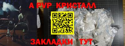 стаф Кунгур