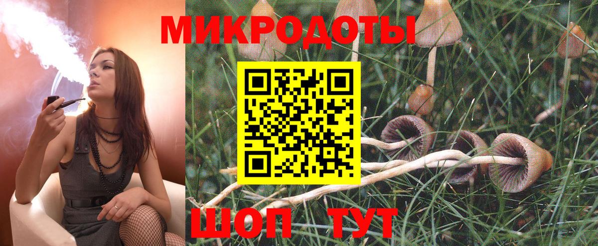 Галлюциногенные грибы прущие грибы Сочи