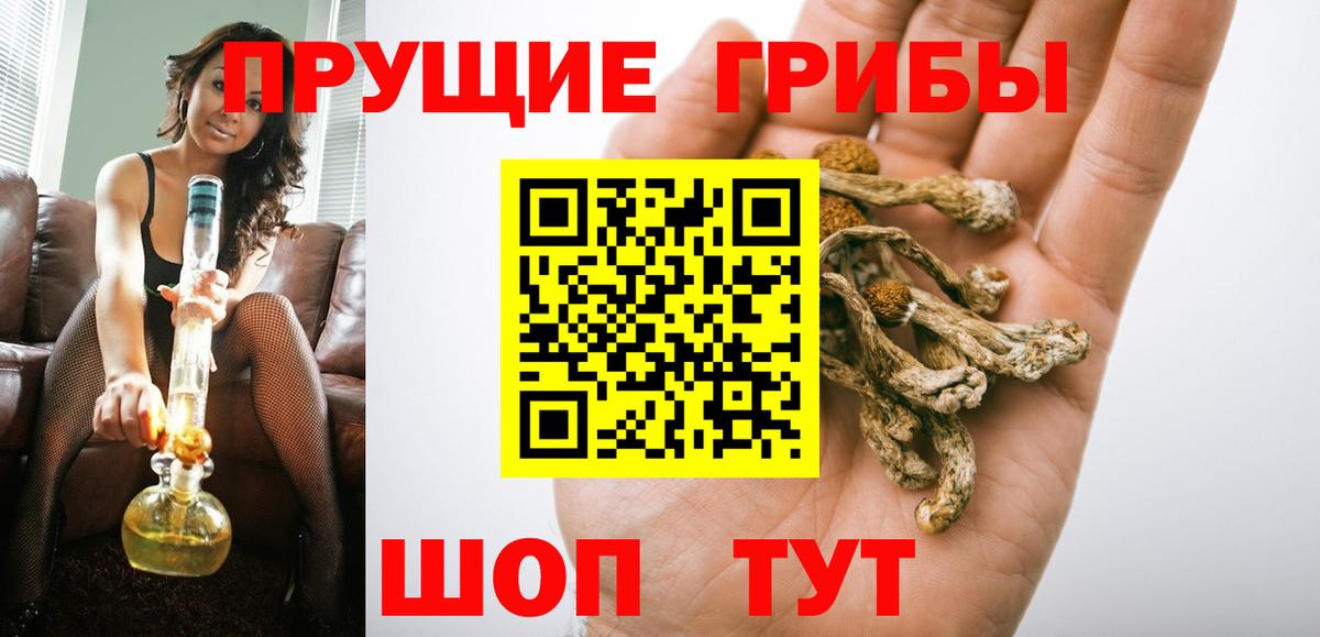 Псилоцибиновые грибы MAGIC MUSHROOMS  Вход с VPN  Сочи 